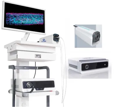 Sistema di imaging endoscopico multimodale